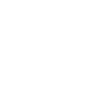 Dinamik